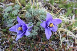 IMG_3301.jpg IMG_3301.jpg