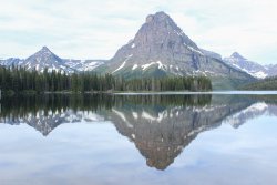 IMG_3446.jpg IMG_3446.jpg