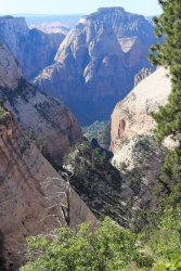 IMG_3567.jpg IMG_3567.jpg