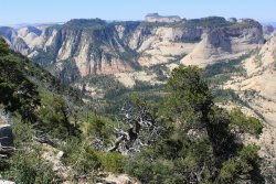 IMG_3601.jpg IMG_3601.jpg