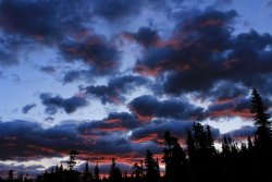 IMG_3690.jpg IMG_3690.jpg