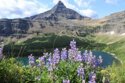 IMG_3799.jpg IMG_3799.jpg