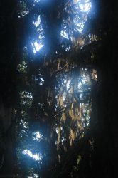 IMG_4154.jpg IMG_4154.jpg