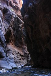 IMG_4363.jpg IMG_4363.jpg