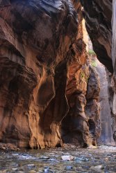 IMG_4370.jpg IMG_4370.jpg