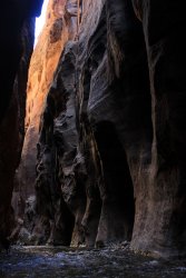 IMG_4374.jpg IMG_4374.jpg