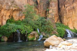 IMG_4396.jpg IMG_4396.jpg