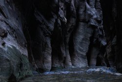 IMG_4417.jpg IMG_4417.jpg