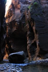 IMG_4419.jpg IMG_4419.jpg