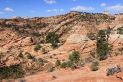 IMG_4616.jpg IMG_4616.jpg