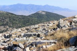 IMG_4706.jpg IMG_4706.jpg