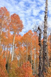 IMG_4915.jpg IMG_4915.jpg