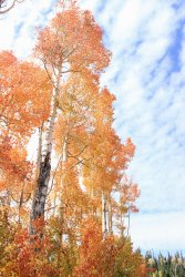 IMG_4931.jpg IMG_4931.jpg