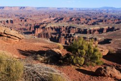 IMG_5069.jpg IMG_5069.jpg