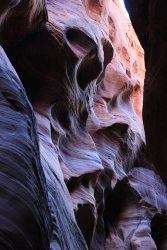 IMG_5391.jpg IMG_5391.jpg