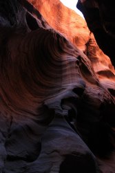 IMG_5393.jpg IMG_5393.jpg