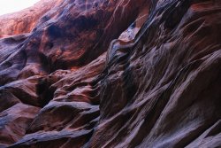 IMG_5401.jpg IMG_5401.jpg