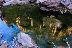 IMG_5565.jpg IMG_5565.jpg