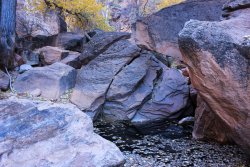 IMG_5575.jpg IMG_5575.jpg