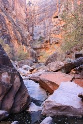 IMG_5593.jpg IMG_5593.jpg