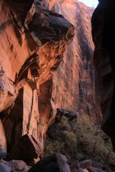 IMG_5609.jpg IMG_5609.jpg