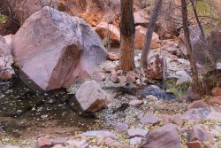 IMG_5631.jpg IMG_5631.jpg