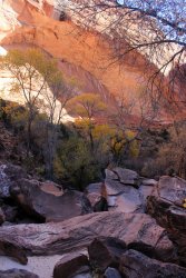 IMG_5633.jpg IMG_5633.jpg