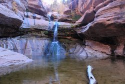 IMG_5653.jpg IMG_5653.jpg