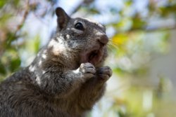 HalfDome1019-72.jpg HalfDome1019-72.jpg