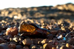 FortBragg.jpg FortBragg.jpg