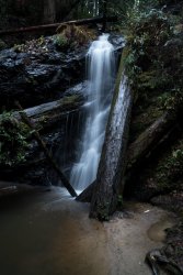 FortBragg-98.jpg FortBragg-98.jpg