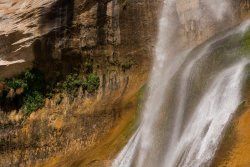 Escalante Memorial Romp 5-20190361.jpg