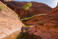 Escalante Memorial Romp 5-20190549.jpg