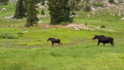 Flooded In Sunset Peak 8-20190021.jpg