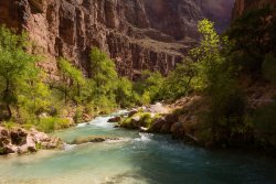 Havasupai0396.jpg