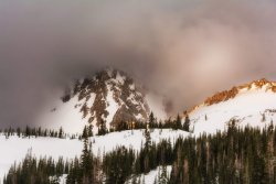 Maybird in May 5-20190121-sm-recipe.jpg