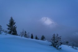 Pine Hollow Freee Fest 2-20190088-options2-proc.jpg