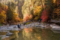 Zion Kolob The North Fork 10-20190933.jpg