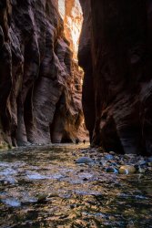 Zion Kolob The North Fork 10-20190990.jpg