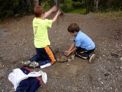 thumbnail.jpeg thumbnail.jpeg