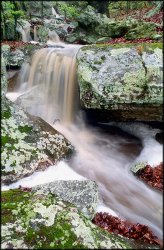 okmulgee wildlife preserve 003.jpg