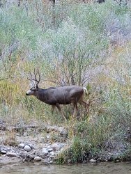 20191101_170001.jpg 20191101_170001.jpg