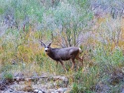 20191101_170007.jpg 20191101_170007.jpg