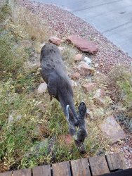 20191102_182301.jpg 20191102_182301.jpg