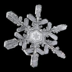 PC150358 (2)-Recovered.jpg