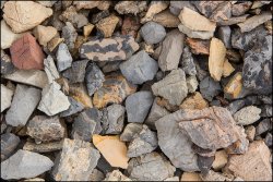 _MG_7829.jpg _MG_7829.jpg