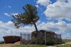 03E735D0-FF59-45D5-8A1D-3C8499BFE3A4.jpeg 03E735D0-FF59-45D5-8A1D-3C8499BFE3A4.jpeg