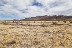 _MG_7365.jpg _MG_7365.jpg