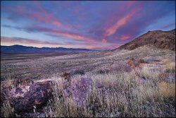 _MG_7999.jpg _MG_7999.jpg