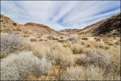 _MG_8020.jpg _MG_8020.jpg